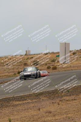 media/May-03-2025-Lucky Dog Racing (Sat) [[206de64b9d]]/Turn 6 (150pm-230pm)/